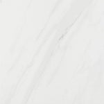 Load image into Gallery viewer, L.BLANCO POLISH 120X120 | 550IPT147