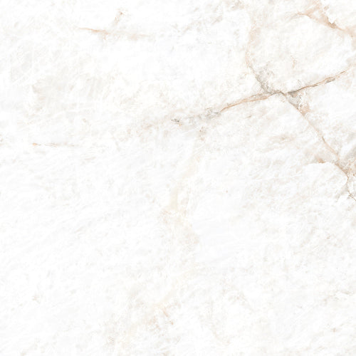 CRYS.WHITE MATT 60X120 | 550IPT142