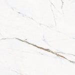 Load image into Gallery viewer, CR.T.DORADO POLISH 60X120 | 550IPT138