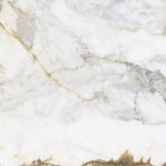 Load image into Gallery viewer, P.GOLD POLISH 60X120 | 550IPT136