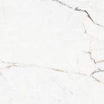 Load image into Gallery viewer, CR.T.DORADO MATT 60X120 | 550IPT139