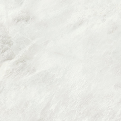 AL.WHITE POLISH RECT 60X120 | 550IPT45 (Copy)