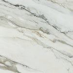 Load image into Gallery viewer, AR.CORCHIA MATT RECT 60X120 | 550IPT51