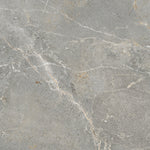 Load image into Gallery viewer, AUG.GREY POLISH RECT 60X120 | 550IPT58