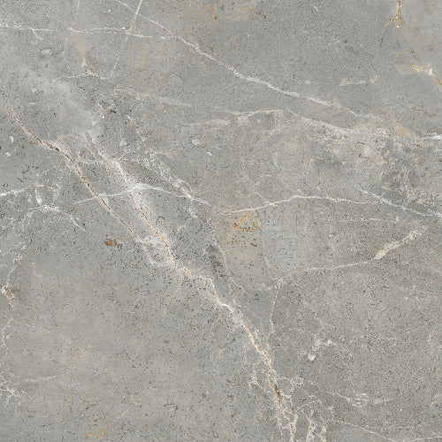 AUG.GREY POLISH RECT 60X120 | 550IPT58