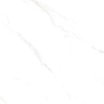 Load image into Gallery viewer, 550 C.WHITE MATT RECT 60X120 | 550IPT17