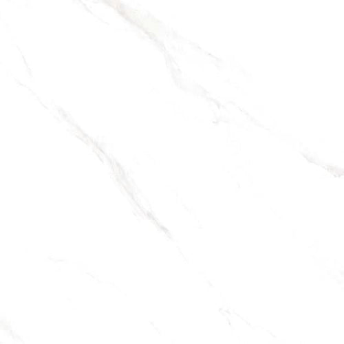 550 C.WHITE MATT RECT 60X120 | 550IPT17