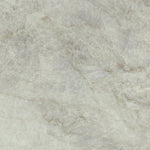 Load image into Gallery viewer, T.M.PEARL POLISH RECT 60X120 | 550IPT73