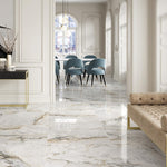 Load image into Gallery viewer, P.GOLD POLISH 60X120 | 550IPT136