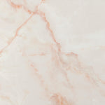 Load image into Gallery viewer, L.N.PEACH POLISH 60X120 | 550IPT121
