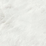Load image into Gallery viewer, AL.WHITE POLISH RECT 60X120 | 550IPT45 (Copy)
