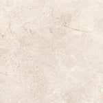 Load image into Gallery viewer, AUG.CREAM MATT RECT 60X120 | 550IPT60
