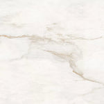 Load image into Gallery viewer, 550 G.CARVING MATT RECT 60X120 | 550IPT2
