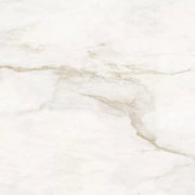 550 G.CARVING MATT RECT 60X120 | 550IPT2