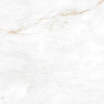 Load image into Gallery viewer, 550 G.CARVING MATT RECT 60X120 | 550IPT2
