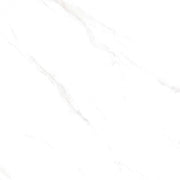 550 C.WHITE MATT RECT 60X120 | 550IPT17