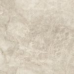 Load image into Gallery viewer, T.M.CAPUCCINO MATT RECT 60X120 | 550IPT76
