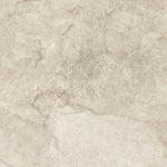 Load image into Gallery viewer, T.M.CAPUCCINO POLISH RECT 60X120 | 550IPT75
